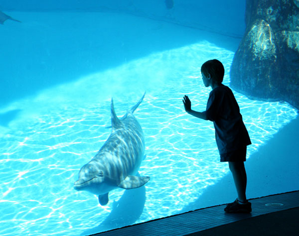 NC Aquarium