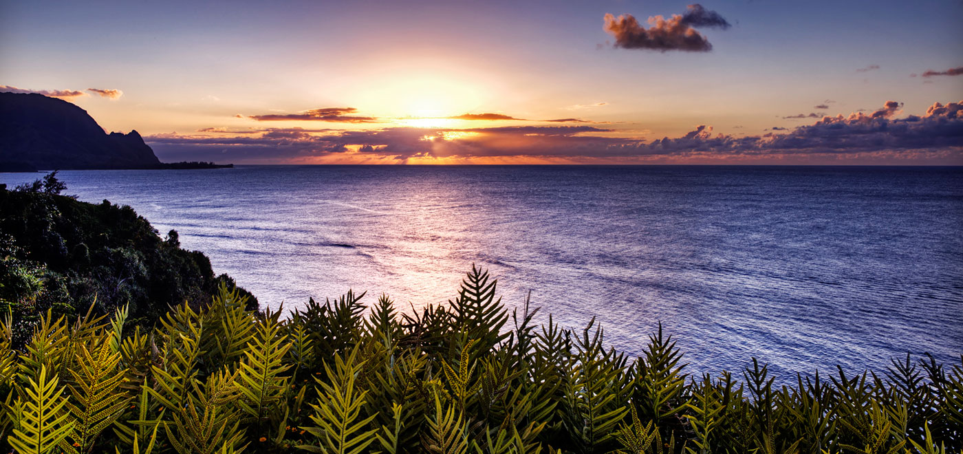 Services & Amenities at Emerald Isle Hotel